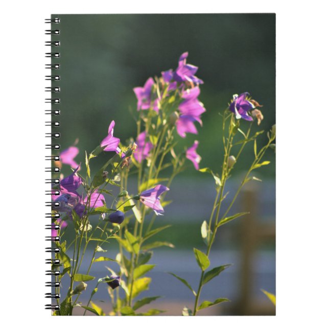Cuaderno Flores violetas (Frente)
