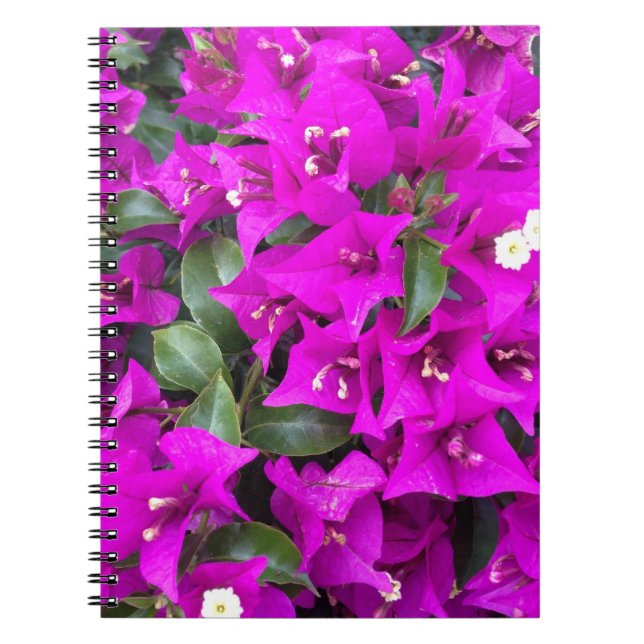 Cuaderno Flores violetas moradas de buganvillas (Frente)