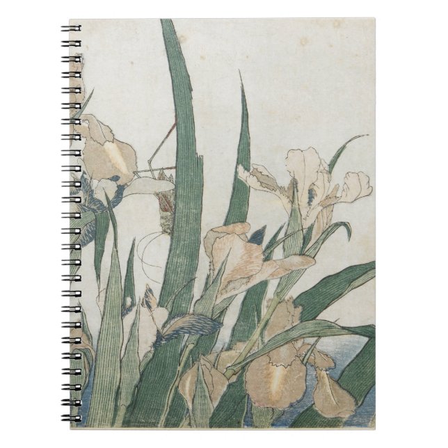 Cuaderno Flores y saltamontes, c.1830-31 del iris (Frente)
