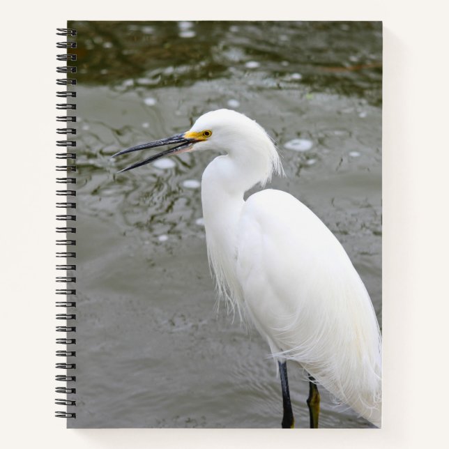 Cuaderno Florida's Singing Egret (Anverso)