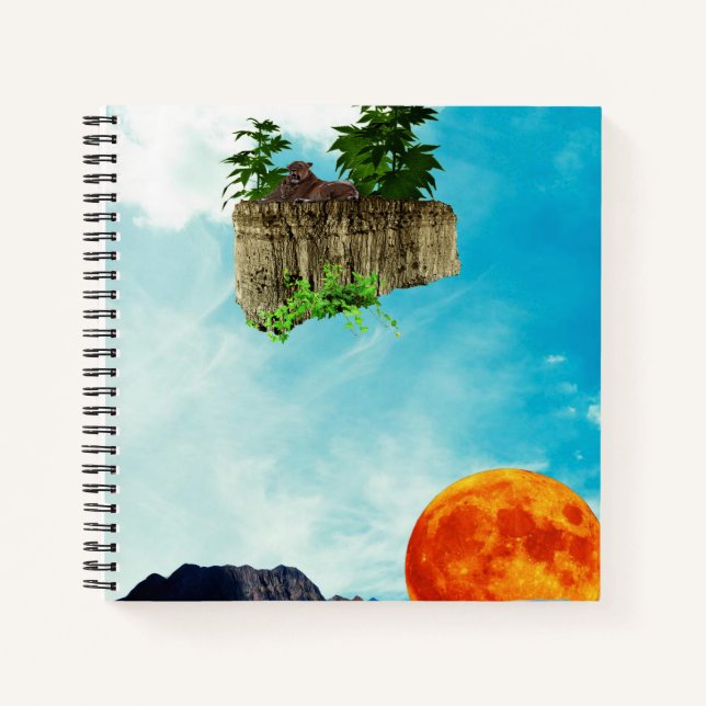 Cuaderno Flotar dos veces (Anverso)