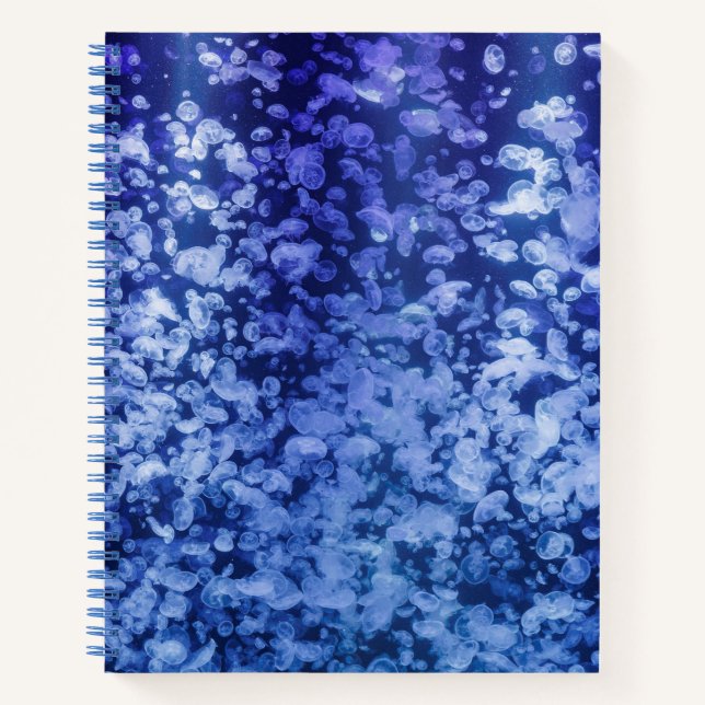 Cuaderno Flow – Jellyfish Notebook for Calm Thinking (Anverso)