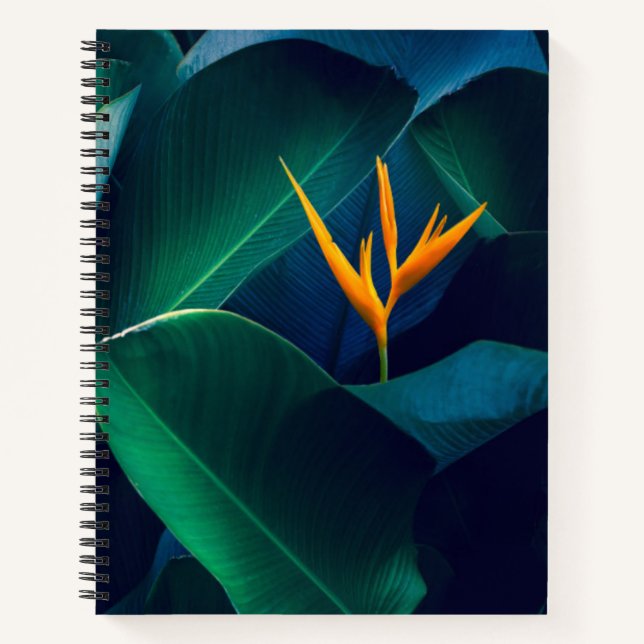 Cuaderno Flowers | Bird of Paradise (Anverso)