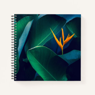 Cuaderno Flowers   Bird of Paradise