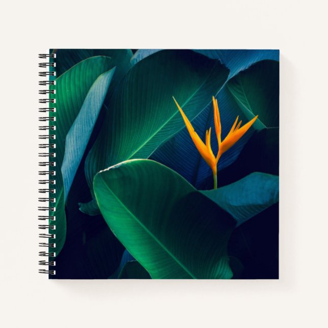 Cuaderno Flowers | Bird of Paradise (Anverso)