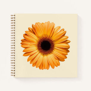 Cuaderno Flowers   Orange Gerbera