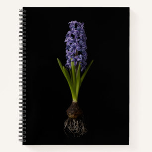 Cuaderno Flowers   Purple Hyacinth Bulb