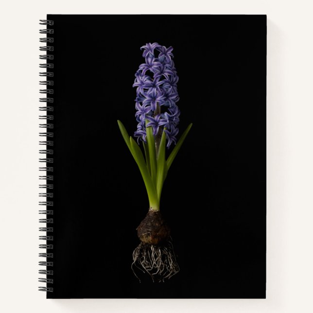 Cuaderno Flowers | Purple Hyacinth Bulb (Anverso)