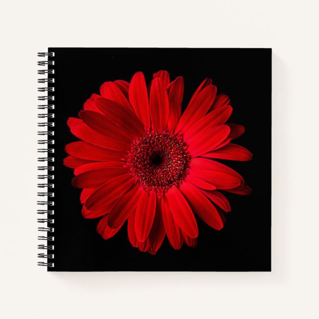 Cuaderno Flowers | Red Gerbera Daisy (Anverso)