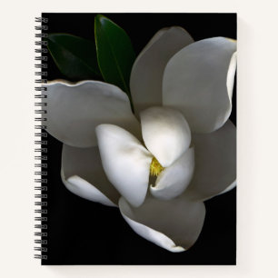 Cuaderno Flowers Single White Magnolia Blossom