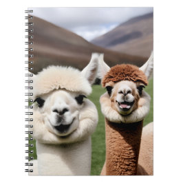 Cuaderno Fluff & Friendship