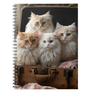 CUADERNO FLUFFY FAMILIA CAT PERSA
