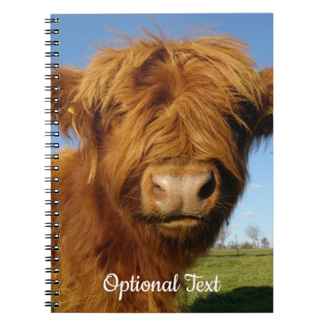 Cuaderno Fluffy Scottish Highland Cow - Blue Sky (Frente)