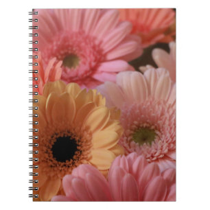 CUADERNO FLUJOS DE COLOR ROJO Y AMARILLO EN UNA FOTOGRAFÍA