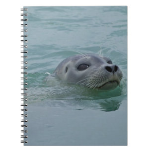 Cuaderno Foca común nadando en el lago glacial Jokulsarlon