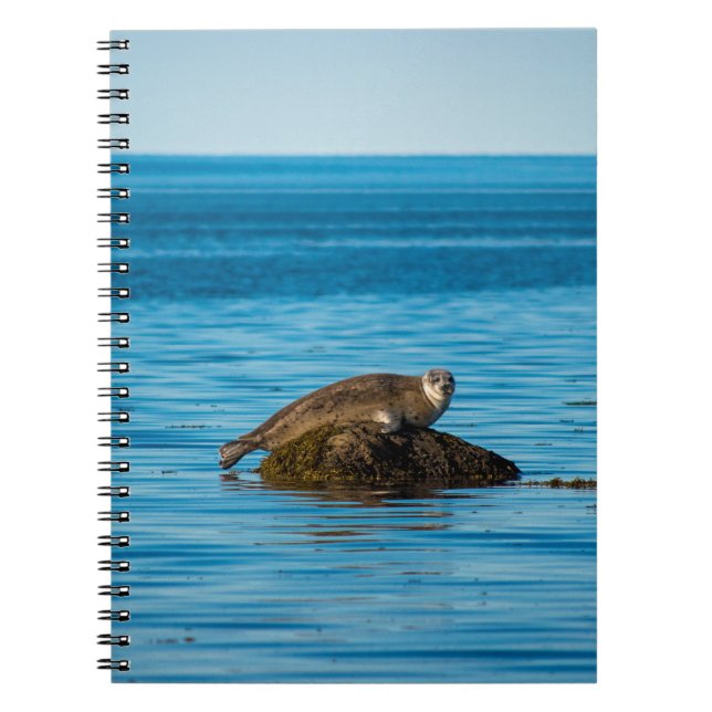 Cuaderno Foca de puerto atlántico (Frente)
