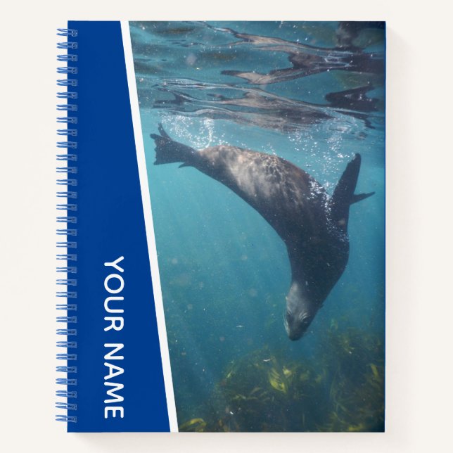 Cuaderno Foca nadando bajo el agua, Australia, Azul (Anverso)