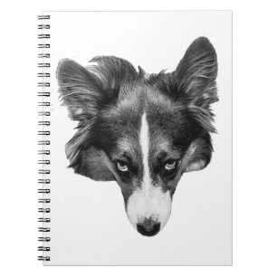 Cuaderno foco de sombra suave