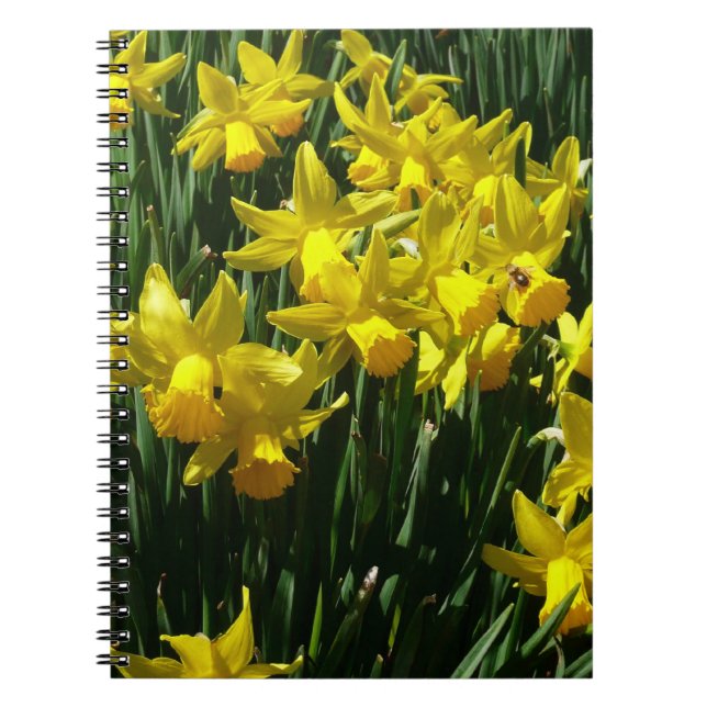 Cuaderno Focos amarillos y flores de primavera alegres (Frente)