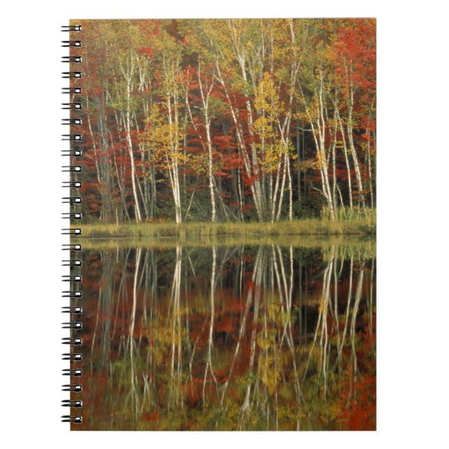 Cuaderno Follaje de otoño y reflejos de abedul; Hiawatha (Frente)