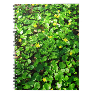 Cuaderno follaje verde