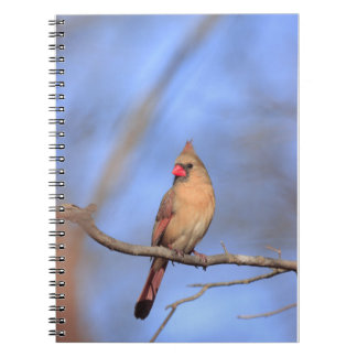 Cuaderno Folleto fotográfico espiral con cardina femenina d