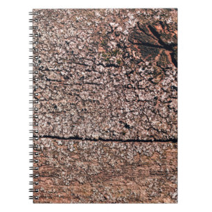 Cuaderno fondo abstracto de la textura de madera antigua cl