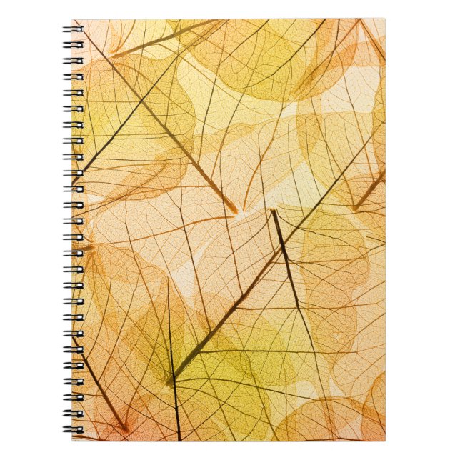 Cuaderno Fondo amarillo y naranja de hojas otoñales - trans (Frente)