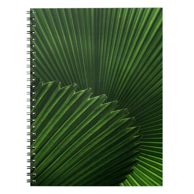 Cuaderno Fondo de hoja (Frente)