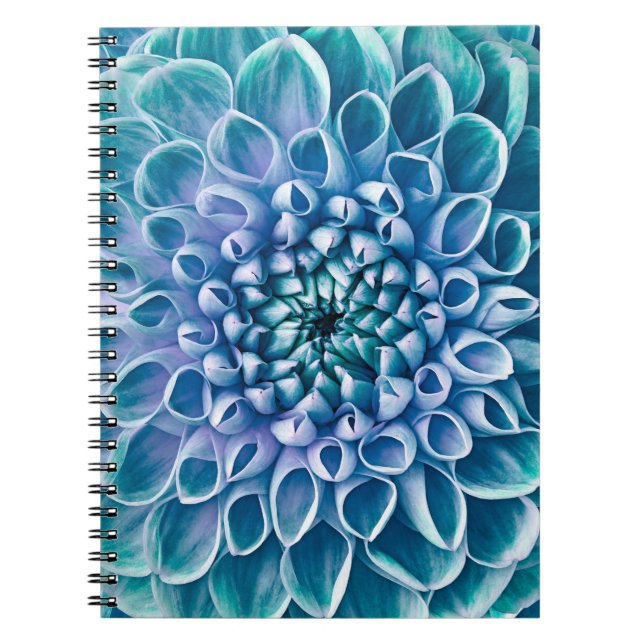 Cuaderno Fondo de la macro de la flor turquesa Dahlia (Frente)