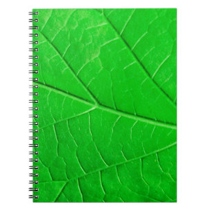Cuaderno Fondo de la planta de ecología de hoja verde macro