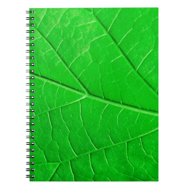 Cuaderno Fondo de la planta de ecología de hoja verde macro (Frente)