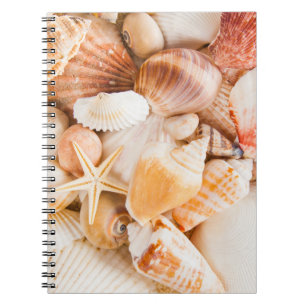 Cuaderno Fondo de las casetas: tema marino.