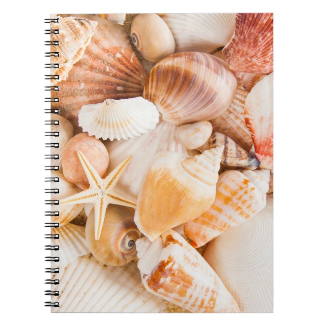 Cuaderno Fondo de las casetas: tema marino. (Frente)