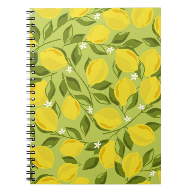 Cuaderno Fondo de los lémulos. Fondo superpuesto dibujado a (Frente)