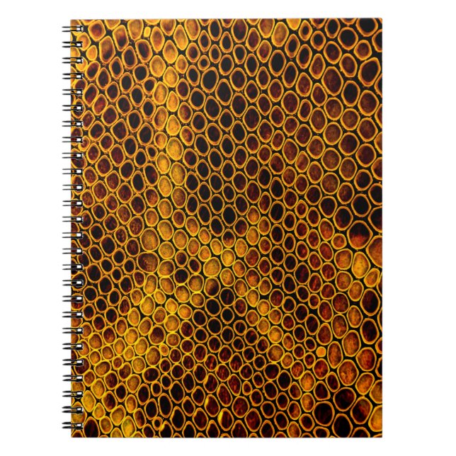 Cuaderno Fondo de piel de serpiente (Frente)