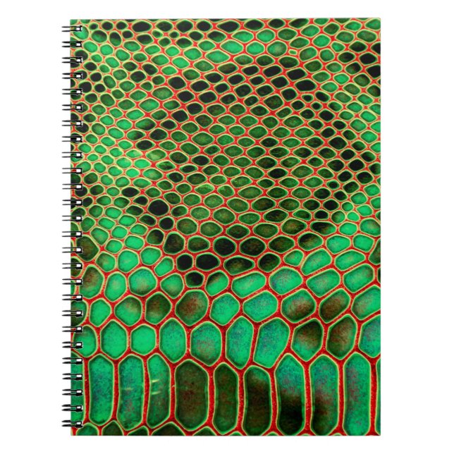 Cuaderno Fondo de piel de serpiente (Frente)