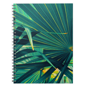 Cuaderno Fondo de textura de hojas de palma tropical, a ray