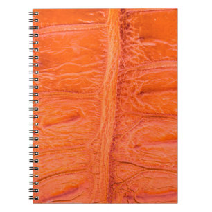 Cuaderno Fondo de textura de la piel del vientre de cocodri