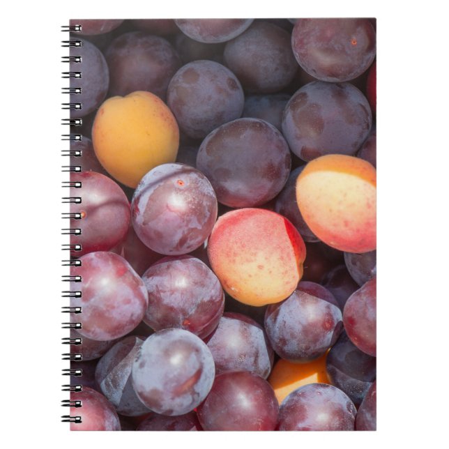 Cuaderno Fondo del cerezo (Frente)
