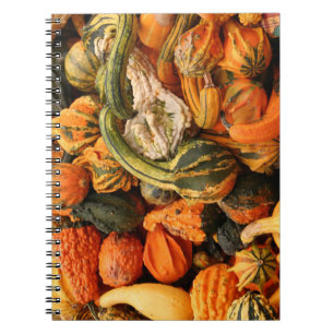 Cuaderno Fondo del Gourd de otoño