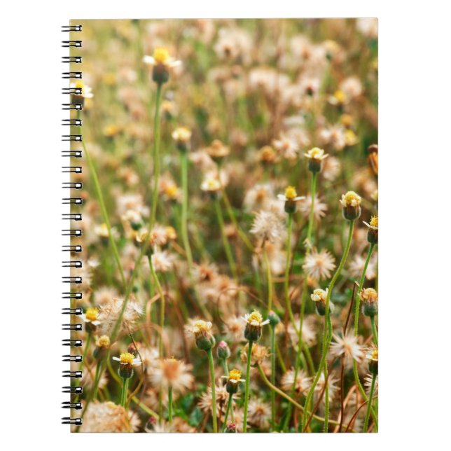 Cuaderno Fondo natural con fondo de césped, bea (Frente)