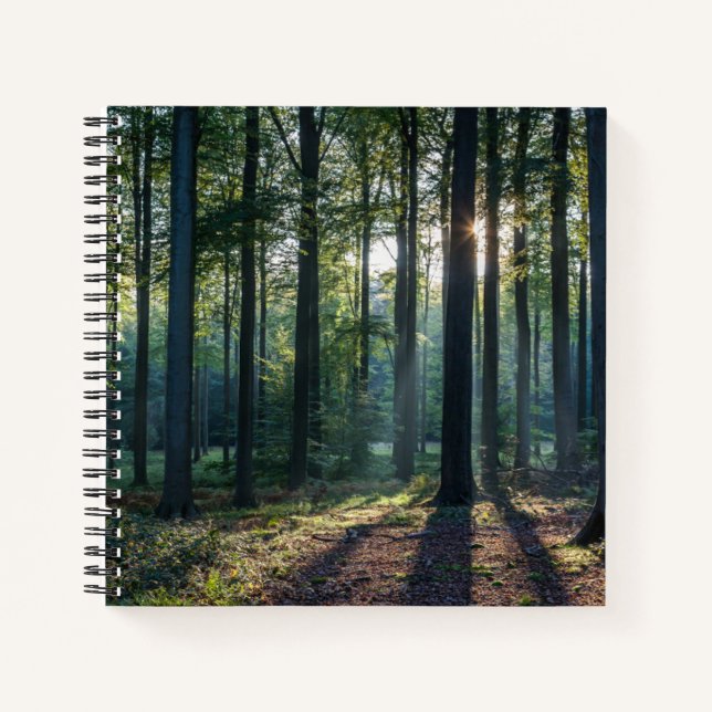 Cuaderno Forests | Black Forest Germany (Anverso)