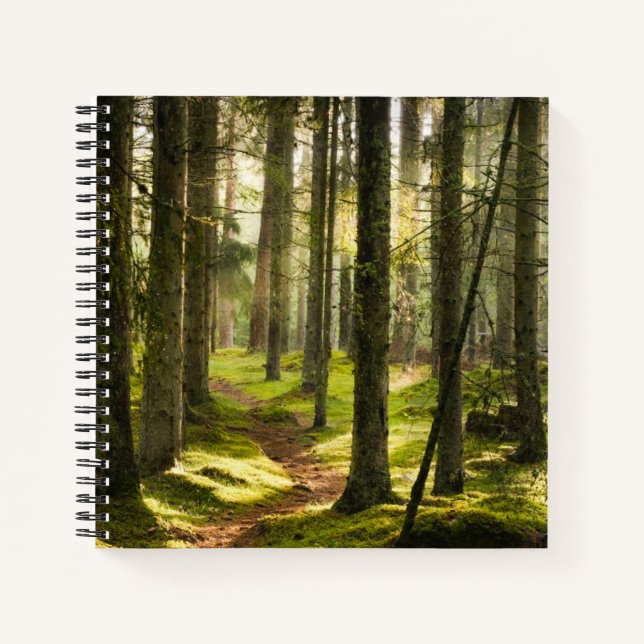 Cuaderno Forests | Boreal Forest Sweden (Anverso)