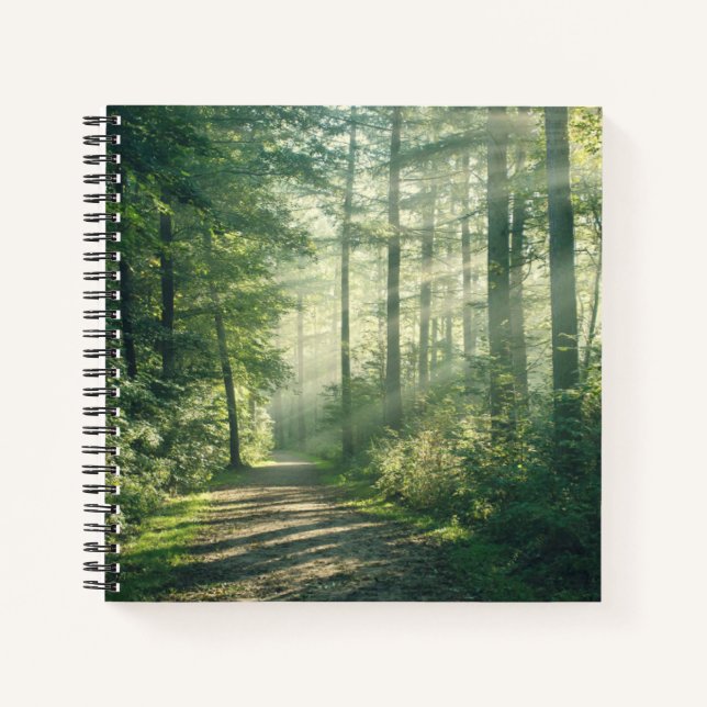 Cuaderno Forests | Forest Path Hamburg Germany (Anverso)