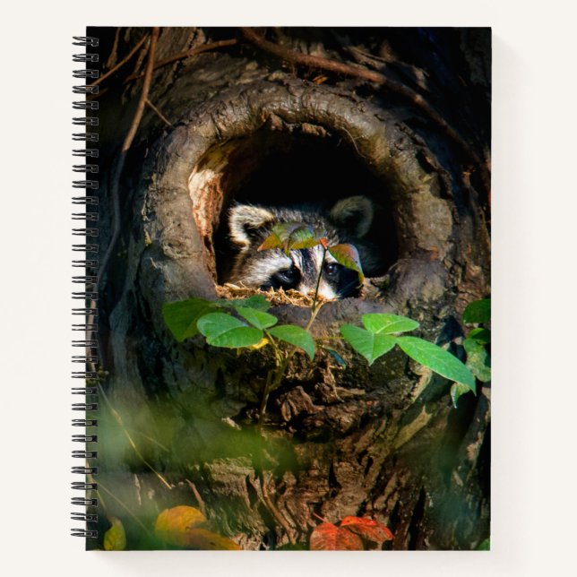Cuaderno Forests | Raccoon Peeking (Anverso)