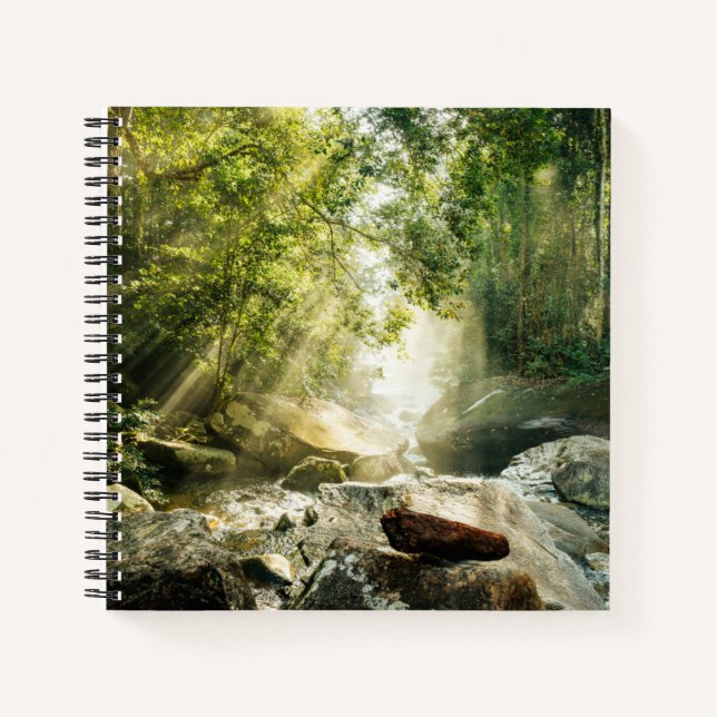 Cuaderno Forests | Tropical Jungle Forest (Anverso)