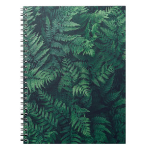 Cuaderno Forests   Woodland Ferns