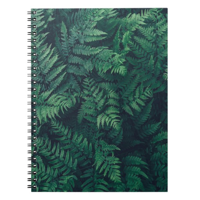 Cuaderno Forests | Woodland Ferns (Frente)