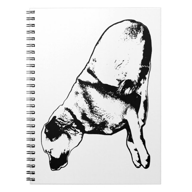 Cuaderno Forma leal equilibrio (Frente)